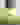Polo Rugger à rayures en colour-block